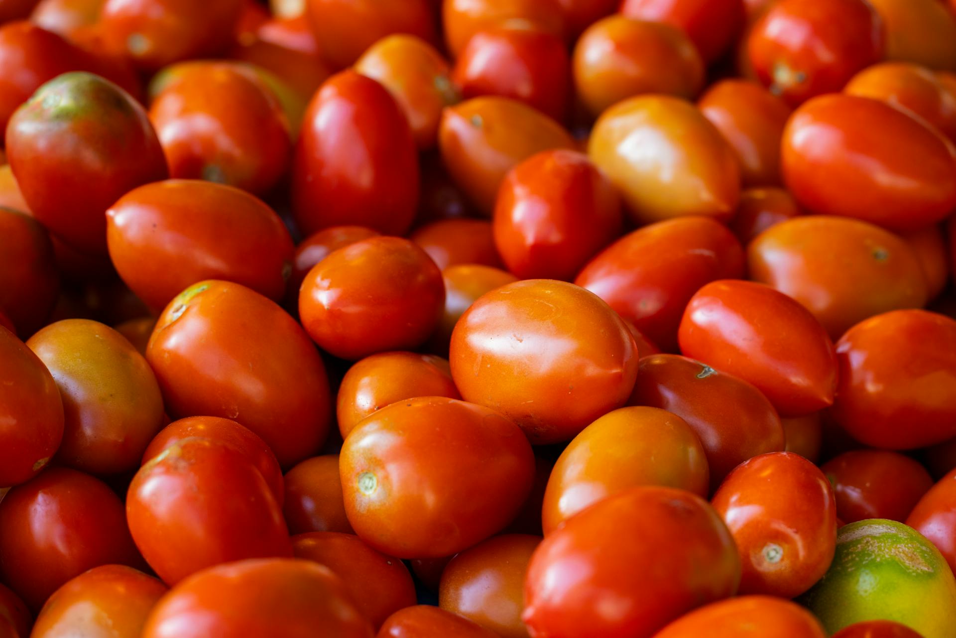 Pomodori datterini biologici rossi in composizione naturale per prodotti agroalimentari