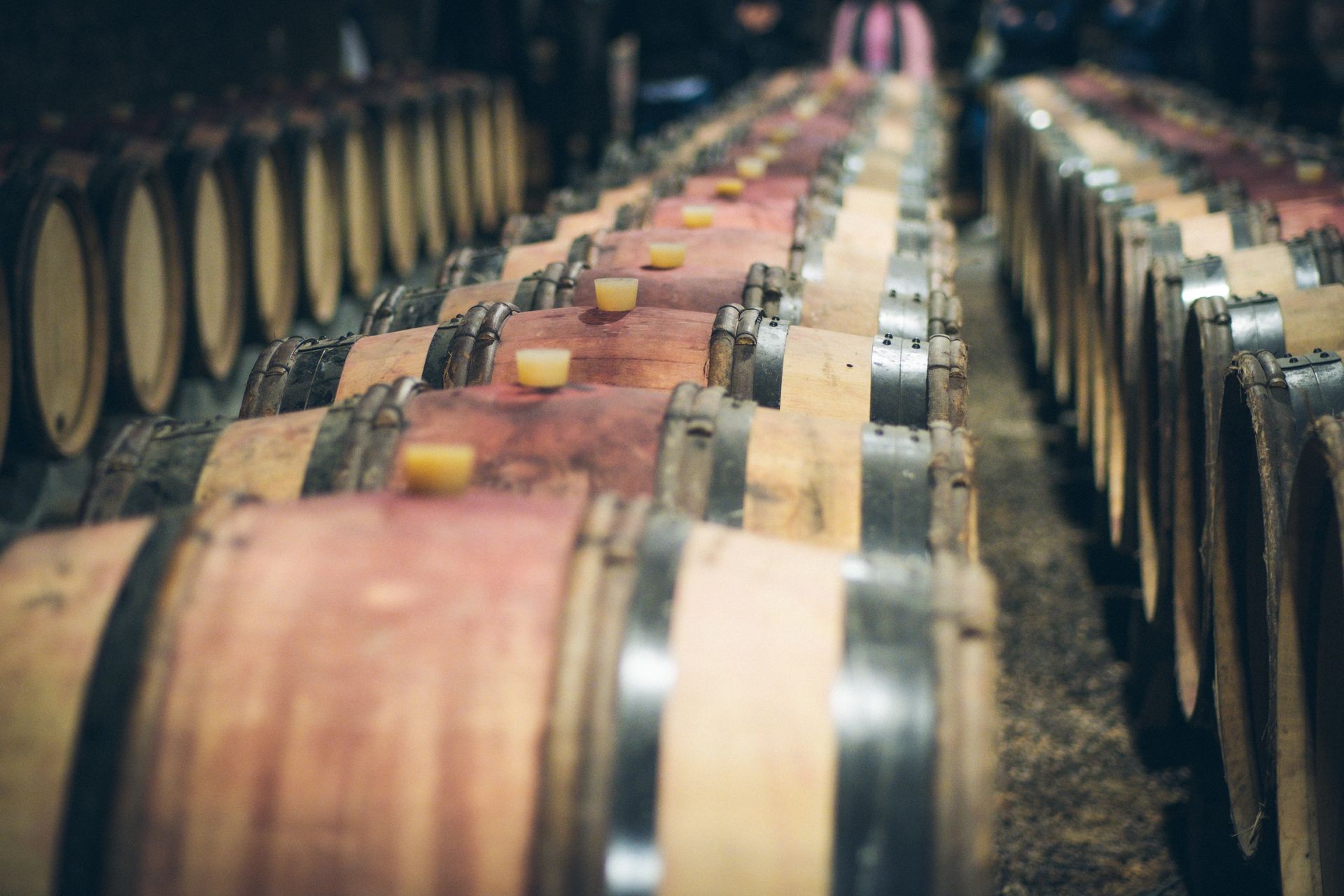 Botti di legno in fila all'interno di una cantina per l'invecchiamento e la produzione di vino di alta qualità.