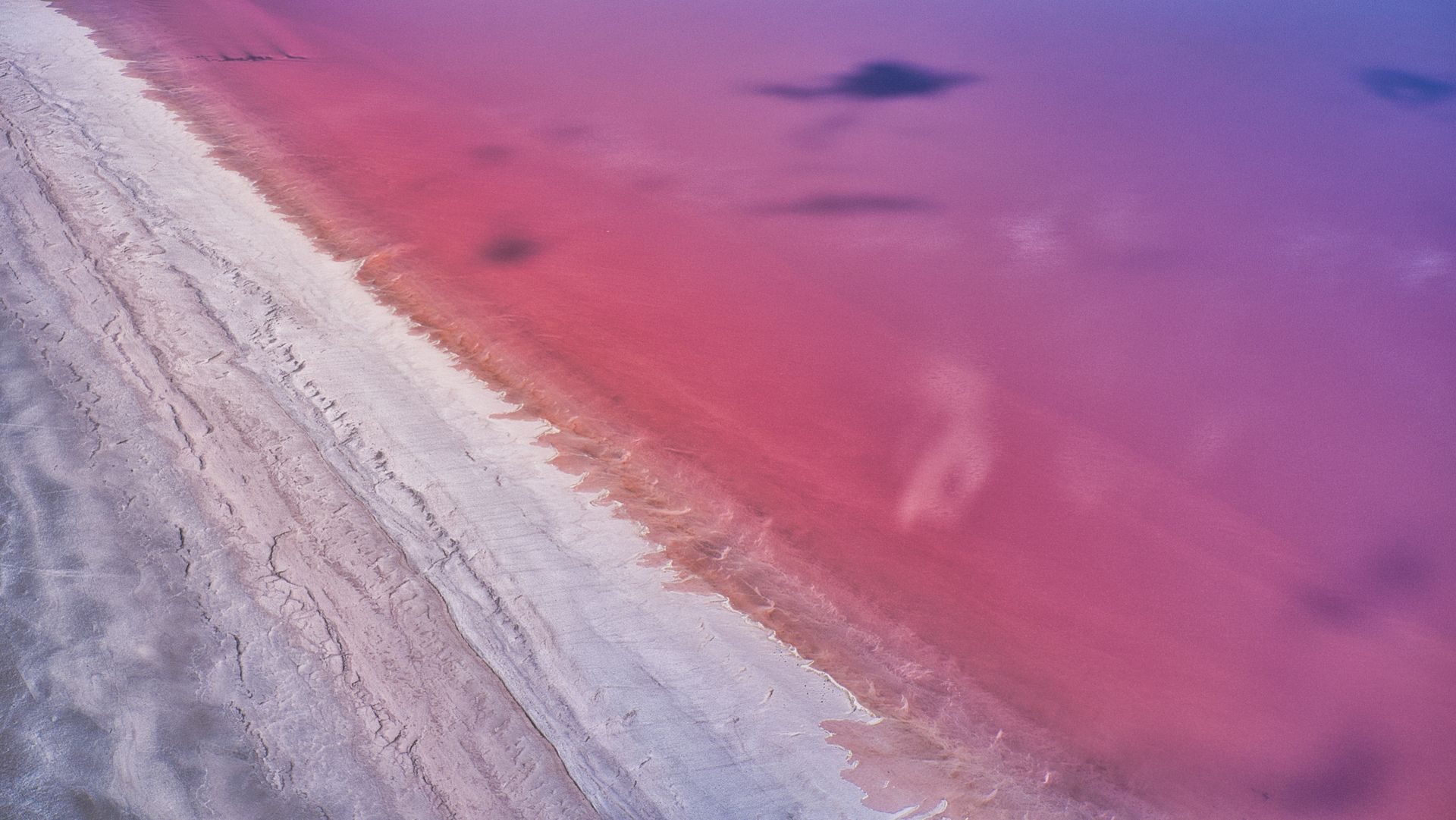 Panoramica aerea delle vasche di evaporazione rosa delle Saline di Margherita di Savoia nella provincia di Barletta Andria Trani